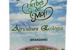 HOJA ARANDANO HERBES DEL MOLI
